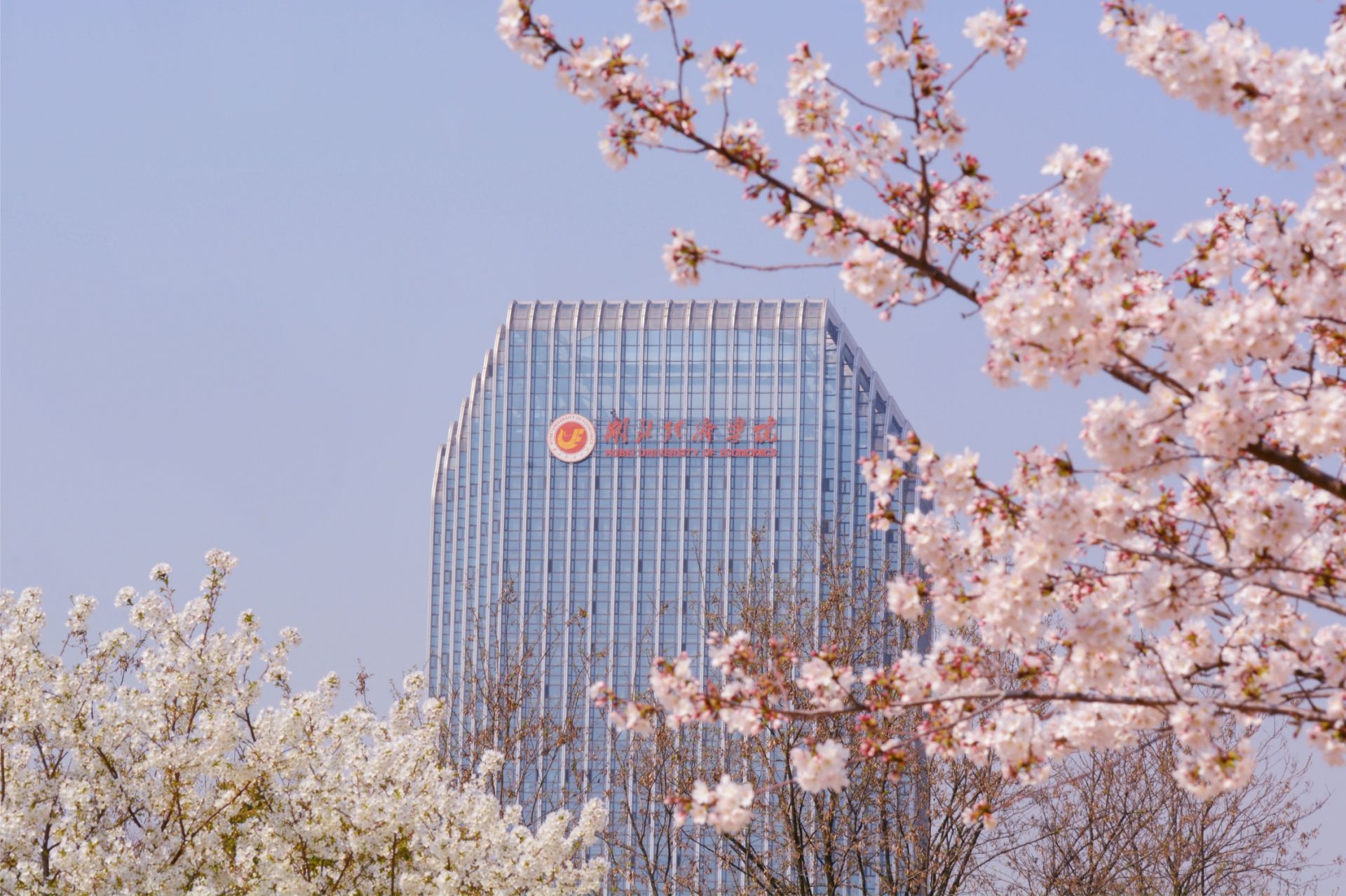 早鸟价10月31日截止